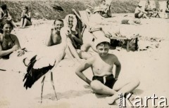 Lato 1938, Gdynia, woj. pomorskie, Rzeczpospolita Polska.
Jerzy Zajączkowski (brat Larysy) siedzi na plaży, obok niego stoi bocian Wojtek. Z tyłu 1. z lewej siedzi Larysa Zajączkowska, na leżaku wypoczywa ich babcia Larysa Michelson.
Fot. NN, kolekcja Larysy Zajączkowskiej-Mitznerowej, zbiory Ośrodka KARTA