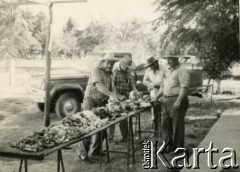 Lata 70. (?), Coronel du Graty, prowincja Chaco, Argentyna.
Przygotowywanie mięsa na asado (grilla), które co roku było organizowane przez Polaków w kościele katolickim. Na zdjęciu m.in. Władysław Herbut (1. z prawej).
Fot. NN, zbiory Władysława Herbuta, reprodukcje cyfrowe w Bibliotece Polskiej im. Ignacego Domeyki w Buenos Aires (Biblioteca Polaca Ignacio Domeyko) i w Ośrodku KARTA w Warszawie.