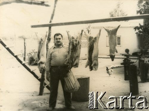 Lata 70. (?),Coronel du Graty, prowincja Chaco, Argentyna.
Władysław Herbut.
Fot. NN, zbiory Władysława Herbuta, reprodukcje cyfrowe w Bibliotece Polskiej im. Ignacego Domeyki w Buenos Aires (Biblioteca Polaca Ignacio Domeyko) i w Ośrodku KARTA w Warszawie.