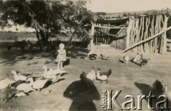 Lata 60., okolice Coronel du Graty, prowincja Chaco, Argentyna.
Krystyna Kramarz.
Fot. NN, zbiory Marii Kramarz, reprodukcje cyfrowe w Bibliotece Polskiej im. Ignacego Domeyki w Buenos Aires (Biblioteca Polaca Ignacio Domeyko) i w Ośrodku KARTA w Warszawie.