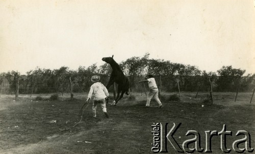 Lata 60., Coronel du Graty, prowincja Chaco, Argentyna.
Znaczenie konia.
Fot. NN, zbiory Wiktorii Błaszczak, reprodukcje cyfrowe w Bibliotece Polskiej im. Ignacego Domeyki w Buenos Aires (Biblioteca Polaca Ignacio Domeyko) i w Ośrodku KARTA w Warszawie.