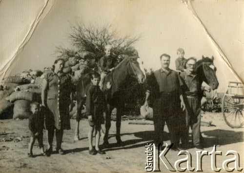 Lata 50., okolice Coronel du Graty, prowincja Chaco, Argentyna.
Rodzina Wiktorii Błaszczak (1. z lewej)  - mąż Krasto Murcziew (2. z prawej), teść Murcziew (1. z prawej), synowie Eugenio, Dragan, Antonio, Eduardo. Za nimi worki z bawełną.
Fot. NN, zbiory Wiktorii Błaszczak, reprodukcje cyfrowe w Bibliotece Polskiej im. Ignacego Domeyki w Buenos Aires (Biblioteca Polaca Ignacio Domeyko) i w Ośrodku KARTA w Warszawie.