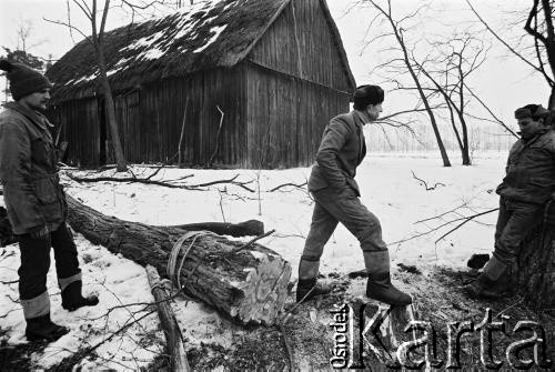 1982, Bobrowniki nad Prosną, pow. Ostrzeszów, woj. kaliskie, Polska.
Ścinka drzewa.
Fot. Stanisław Kulawiak, zbiory Ośrodka KARTA