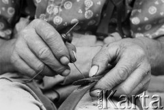 1979, Bobrowniki nad Prosną, pow. Ostrzeszów, woj. kaliskie, Polska.
Dłonie matki Stanisława Kulawiaka - Teresy.
Fot. Stanisław Kulawiak, zbiory Ośrodka KARTA.