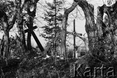 1978, okolice Krakowa, Polska.
Podkrakowski cmentarz.
Fot. Stanisław Kulawiak, zbiory Ośrodka KARTA.