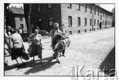 28.08.1988, Oświęcim, Polska.
Uczestnicy Międzynarodowej Konferencji Praw Człowieka, odbywającej się w dniach: 25-28 sierpnia 1988 roku, na terenie KL Auschwitz Birkenau. Złożenie wieńca. 3. z prawej Ewa Tomaszewska.
Fot. Stanisław Kulawiak, zbiory Ośrodka KARTA