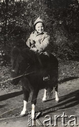 1957, Drohobycz, Ukraińska SRR, ZSRR.
Adam Chłopek na kucyku.
Fot. NN, zbiory Archiwum Historii Mówionej Ośrodka KARTA i Domu Spotkań z Historią, udostępniła Czesława Chłopek w ramach projektu 