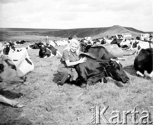 1955-1956, Workuta, Komi ASRR, ZSRR.
Wycieczka Polaków przebywających na zesłaniu. Na zdjęciu Czesława Cydzik (z domu Hnatów).
Fot. Eugeniusz Cydzik, udostępnił Eugeniusz Cydzik w ramach projektu 