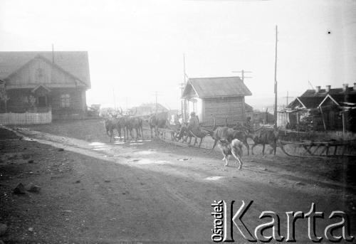 1955-1957, Workuta, Komi ASRR, ZSRR.
Zaprzęg reniferów na drodze.
Fot. Eugeniusz Cydzik, udostępnił Eugeniusz Cydzik w ramach projektu 