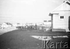 1955-1957, Workuta, Komi ASRR, ZSRR.
Zaprzęg reniferów na drodze.
Fot. Eugeniusz Cydzik, udostępnił Eugeniusz Cydzik w ramach projektu 