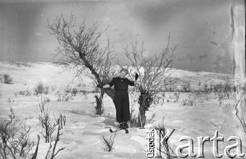 1955-1956, Workuta, Komi ASRR, ZSRR.
Czesława Cydzik (z domu Hnatów), działaczka Armii Krajowej we Lwowie, więźniarka łagrów w latach 1945-1957, na nartach.
Fot. Eugeniusz Cydzik, udostępnił Eugeniusz Cydzik w ramach projektu 