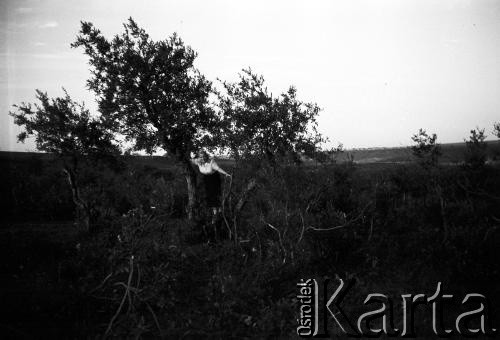 1955-1957, Workuta, Komi ASRR, ZSRR.
Na zdjęciu Czesława Cydzik (z domu Hnatów), działaczka Armii Krajowej we Lwowie, więźniarka łagrów w latach 1945-1957.
Fot. Eugeniusz Cydzik, udostępnił Eugeniusz Cydzik w ramach projektu 