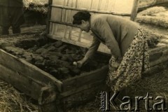 Lata 50./60., Irkuck, ZSRR.
Ewelina Debopre, ciotka Czesławy Tyski, podczas pracy w kołchozie.
Fot. NN, zbiory Archiwum Historii Mówionej Ośrodka KARTA i Domu Spotkań z Historią, udostępniła Czesława Tyska w ramach projektu 