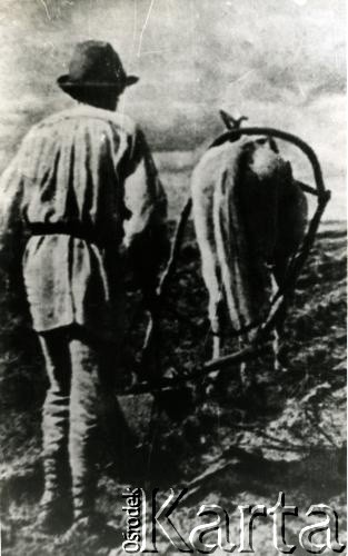 1920-1939, Polesie, Polska.
Chłop na roli.
Fot. NN, zbiory Archiwum Historii Mówionej Ośrodka KARTA i Domu Spotkań z Historią, udostępniła Albina Smołko w ramach projektu 