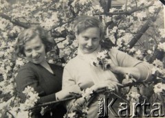 Lata 50., Pińsk, Białoruska SRR, ZSRR.
Portret sióstr. Barbara (z lewej) i Urszula Szymańskie.
Fot. NN, zbiory Archiwum Historii Mówionej Ośrodka KARTA i Domu Spotkań z Historią, udostępniła Barbara Szymańska w ramach projektu 