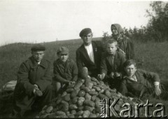 1934, Juchniki, gm. Skaista, pow. dyneburski, Republika Łotewska (?).
Rodzina Kłyguli z nową odmianą ziemniaka. Od lewej strony leży Bolesław Kłygul, dalej siedzi Jan Kłygul, za nim znajdują się rodzice.
Fot. NN, zbiory Archiwum Historii Mówionej Ośrodka KARTA i Domu Spotkań z Historią, udostępnił Jan Kłygul w ramach projektu 