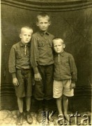 1939, Wołkowszczyzna, pow. nieświeski, woj. nowogródzkie, Polska.
Anatol Żołnierkiewicz (w środku) z dwoma młodszymi braćmi.
Fot. NN, zbiory Archiwum Historii Mówionej Ośrodka KARTA i Domu Spotkań z Historią, udostępnił Anatol Żołnierkiewicz w ramach projektu 