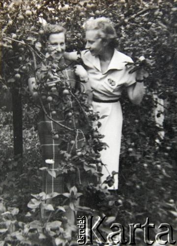Lata 50., Pińsk, Białoruska SRR, ZSRR.
Portret sióstr. Barbara (z lewej) i Urszula Szymańskie.
Fot. NN, zbiory Archiwum Historii Mówionej Ośrodka KARTA i Domu Spotkań z Historią, udostępniła Urszula Szymańska w ramach projektu 
