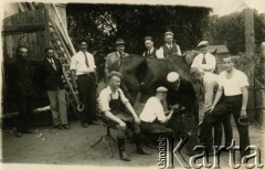 Przed 1939, brak miejsca.
Podkuwanie konia. Fotografia z rodzinnego archiwum Reginy Gutauskiene z domu Klimańskiej.
Fot. NN, zbiory Archiwum Historii Mówionej Ośrodka KARTA i Domu Spotkań z Historią, udostępniła Regina Gutauskiene w ramach projektu 