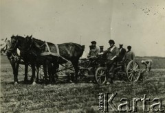 Przed 1939, brak miejsca.
Orka. Fotografia z rodzinnego archiwum Reginy Gutauskiene z domu Klimańskiej.
Fot. NN, zbiory Archiwum Historii Mówionej Ośrodka KARTA i Domu Spotkań z Historią, udostępniła Regina Gutauskiene w ramach projektu 