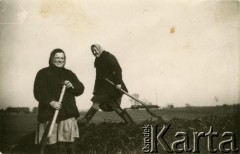 Lata 50., Białoruska SRR, ZSRR.
Maria Suchowiejko (z prawej) podczas pracy w kołchozie.
Fot. NN, zbiory Archiwum Historii Mówionej Ośrodka KARTA i Domu Spotkań z Historią, udostępniła Maria Suchowiejko w ramach projektu 