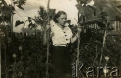 Przed 1939, brak miejsca.
Kobieta wśród słoneczników. Fotografia z rodzinnego archiwum Felicji Błaszkiewicz.
Fot. NN, zbiory Archiwum Historii Mówionej Ośrodka KARTA i Domu Spotkań z Historią, udostępniła Felicja Błaszkiewicz w ramach projektu 