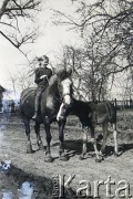 1939, Podberupie, gm. Żejmy, Republika Litewska.
Dziewczynka na koniu.
Fot. NN, zbiory Archiwum Historii Mówionej Ośrodka KARTA i Domu Spotkań z Historią, udostępniła Izabela Mickiewicz w ramach projektu 