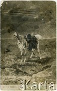 1913, zabór rosyjski.
Karta pocztowa ze zbiorów prywatnych Heleny Pietrakowej.
Zbiory Archiwum Historii Mówionej Oorodka KARTA i Domu Spotkan z Histori1 udostepni3a Helena Pietrakowa w ramach projektu 