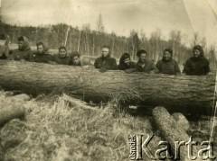 Po 1945, brak miejsca.
Grupa osób podczas pracy przy wyrębie drewna.
Fot. NN, zbiory Archiwum Historii Mówionej Ośrodka KARTA i Domu Spotkań z Historią, udostępniła Ludwika Januszkiewicz w ramach projektu 