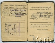 Lata 30., Brześć, woj. poleskie, Polska.
Legitymacja 82 Syberyjskiego Pułku Strzelców im. Tadeusza Kościuszki należąca do Ireny Samoszuk z domu Brzezina.
Fot. NN, zbiory Archiwum Historii Mówionej Ośrodka KARTA i Domu Spotkań z Historią, udostępniła Maria Magalińska w ramach projektu 