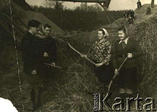 2. połowa lat 40/lata 50., Wasiliszki, Białoruska SRR, ZSRR.
Praca w kołchozie. Anna Szewelińska z d. Kimbar 2. od lewej.
Fot. NN, zbiory Archiwum Historii Mówionej Ośrodka KARTA i Domu Spotkań z Historią, udostępniła Anna Szewelińska w ramach projektu 