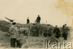 2. połowa lat 40/lata 50., Wasiliszki, Białoruska SRR, ZSRR.
Praca w kołchozie. Anna Szewelińska z d. Kimbar 4. od prawej podaje siano.
Fot. NN, zbiory Archiwum Historii Mówionej Ośrodka KARTA i Domu Spotkań z Historią, udostępniła Anna Szewelińska w ramach projektu 