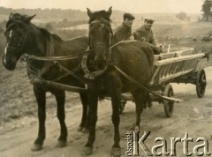 Brak daty, brak miejsca.
Mężczyźni na furmance.
Fot. NN, zbiory Archiwum Historii Mówionej Ośrodka KARTA i Domu Spotkań z Historią udostępniła Jadwiga Linkiel w ramach projektu 