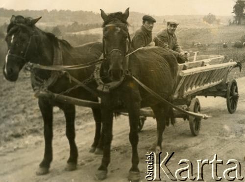 Brak daty, brak miejsca.
Mężczyźni na furmance.
Fot. NN, zbiory Archiwum Historii Mówionej Ośrodka KARTA i Domu Spotkań z Historią udostępniła Jadwiga Linkiel w ramach projektu 