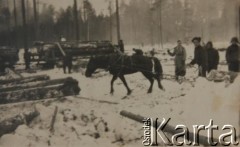 Lata 40., okolice Szerczanki, Syberia, Związek Socjalistycznych Republik Radzieckich.
Prace zimą przy wyrębie lasu.
Fot. NN, zbiory Archiwum Historii Mówionej Ośrodka KARTA i Domu Spotkań z Historią, udostępniła Łucja Budra w ramach projektu 