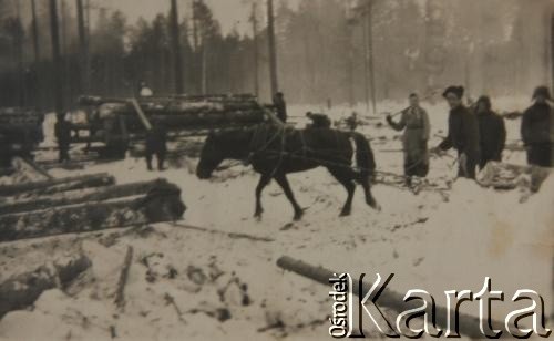 Lata 40., okolice Szerczanki, Syberia, Związek Socjalistycznych Republik Radzieckich.
Prace zimą przy wyrębie lasu.
Fot. NN, zbiory Archiwum Historii Mówionej Ośrodka KARTA i Domu Spotkań z Historią, udostępniła Łucja Budra w ramach projektu 