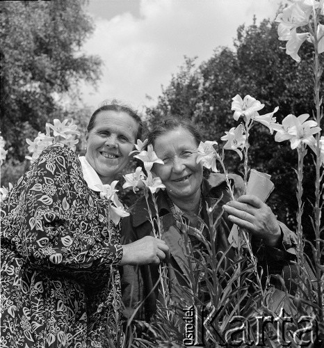 lata 50-te, Ożarów, Polska
Kobiety przy liliach
Fot. Irena Jarosińska, zbiory Ośrodka KARTA
