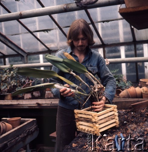 1975, Warszawa, Polska.
Szklarnia w Ogrodzie Botanicznym Uniwersytetu Warszawskiego.
Fot. Romuald Broniarek, zbiory Ośrodka KARTA