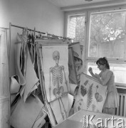 11.06.1967, Warka, Polska.
Szkoła podstawowa im. Kazimierza Pułaskiego, uczenica porządkuje plansze w klasie biologicznej.
Fot. Romuald Broniarek/KARTA