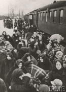 1939, brak miejsca, Polska
Grupa uchodźców - głównie kobiety i dzieci, na peronie dworca kolejowego, w tle pociąg.
Fot. NN, Instytut Polski im. Gen. Sikorskiego w Londynie [szuflada nr 51 – Wrzesień 1939]