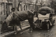 Wrzesień 1939, Warszawa, Polska
Ulica oblężonej stolicy. Na pierwszym planie koń zaprzężony do samochodu z powodu braku benzyny.
Fot. NN, Instytut Polski i Muzeum im. gen. Sikorskiego w Londynie [szuflada nr 51 – Wrzesień 1939] - na odwrocie nr F.6082