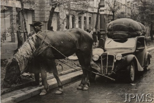 Wrzesień 1939, Warszawa, Polska
Ulica oblężonej stolicy. Na pierwszym planie koń zaprzężony do samochodu z powodu braku benzyny.
Fot. NN, Instytut Polski i Muzeum im. gen. Sikorskiego w Londynie [szuflada nr 51 – Wrzesień 1939] - na odwrocie nr F.6082