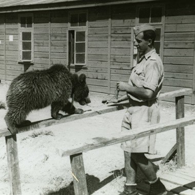 Fotografia z kolekcji Instytutu Polskiego i Muzeum im. gen. Sikorskiego w Londynie